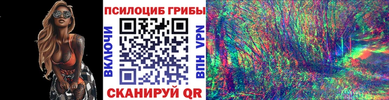 купить наркотик  Губкин  Псилоцибиновые грибы мицелий 